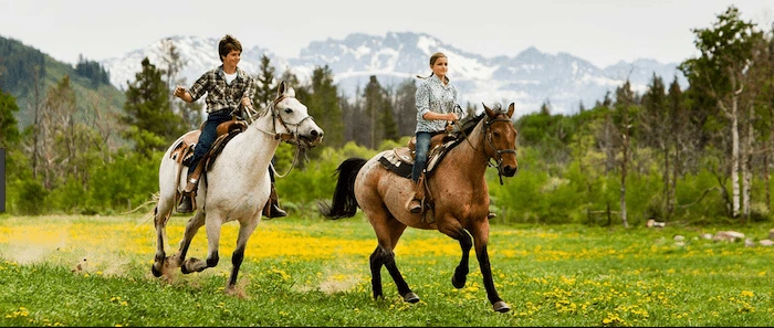 Confident plus-size woman riding Wellingborough a horse through a field with a smile on her face.